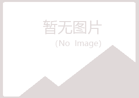 云台区山柳工程有限公司